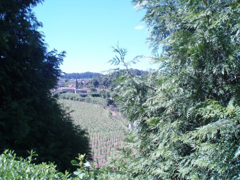 Vinho Verde