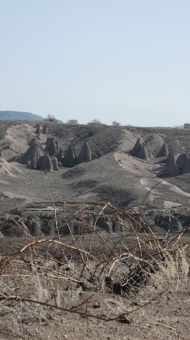 Çat Vineyard, Emir, © Caroline Gilby MW