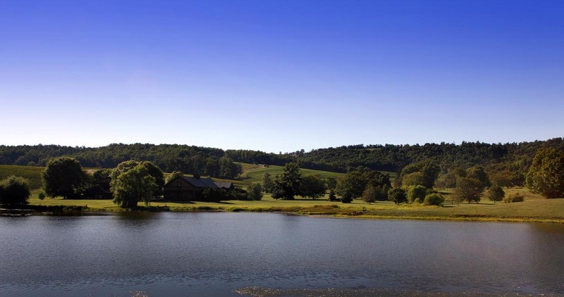 Kluge. © Steven Morris 2010. All rights reserved.