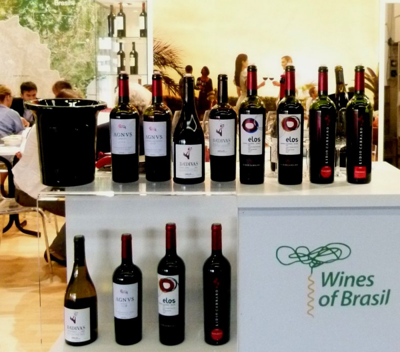 Wines of Brazil