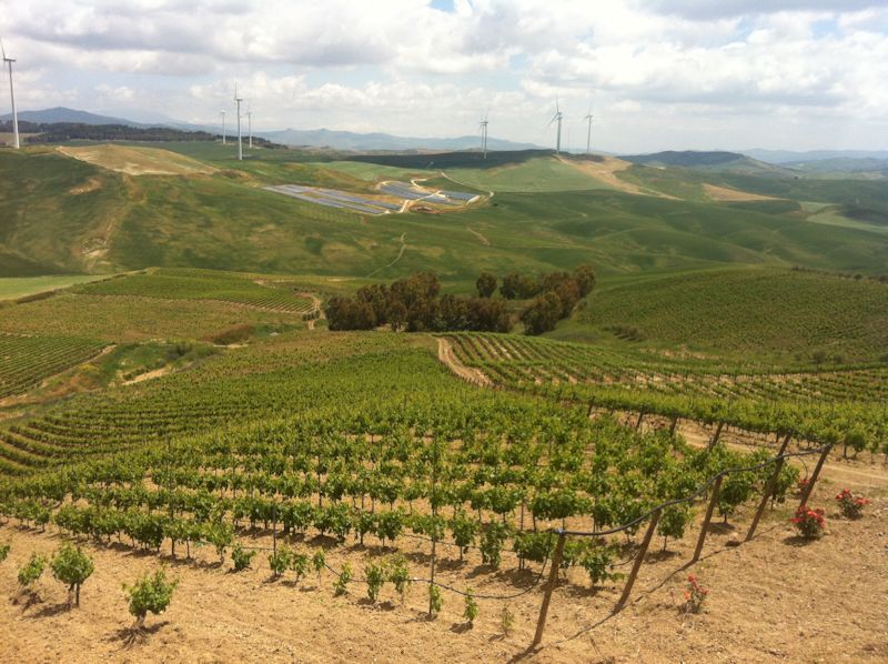 Feudo Montoni (Vrucara vineyard to the left)