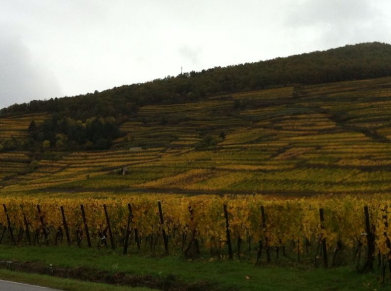 Domaine Weinbach Faller - Grand Cru Schlossberg