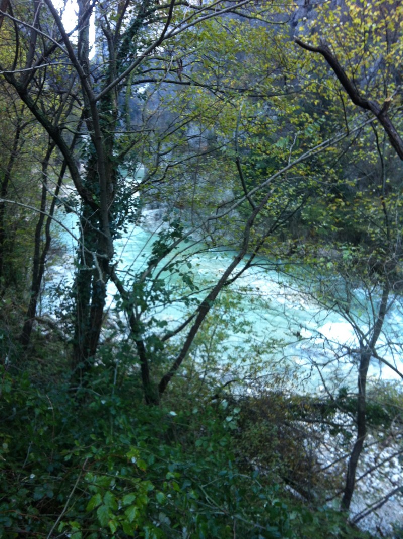 Marche woodland & river.