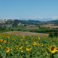 Piemonte