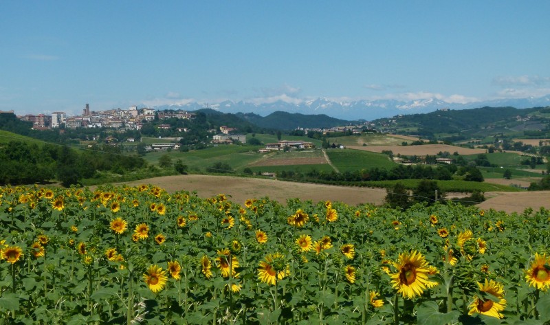 Piemonte