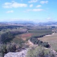 View from the Chivite Señorío Arínzano Estate