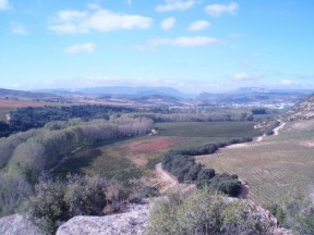 View from the Chivite Señorío Arínzano Estate