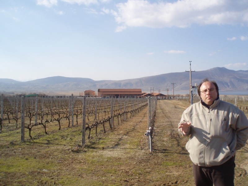Kostas Arvanitakis, Export Manager, Alpha Estate