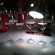 White wines under the spotlight