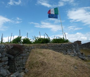 Piemonte vineyard